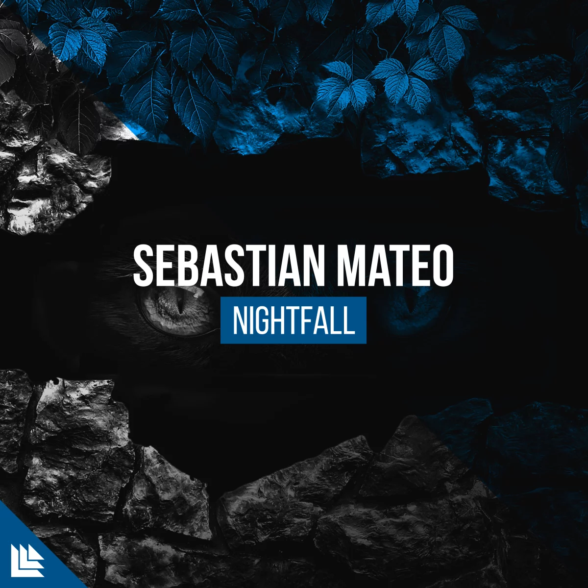 Nightfall - Sebastian Mateo⁠ 