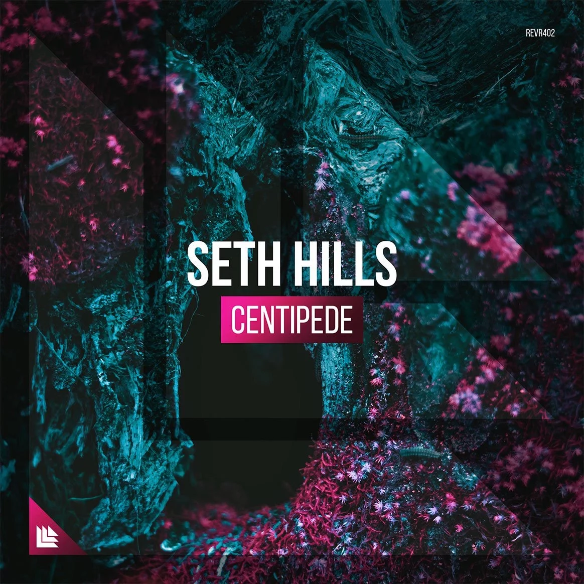 Centipede - Seth Hills