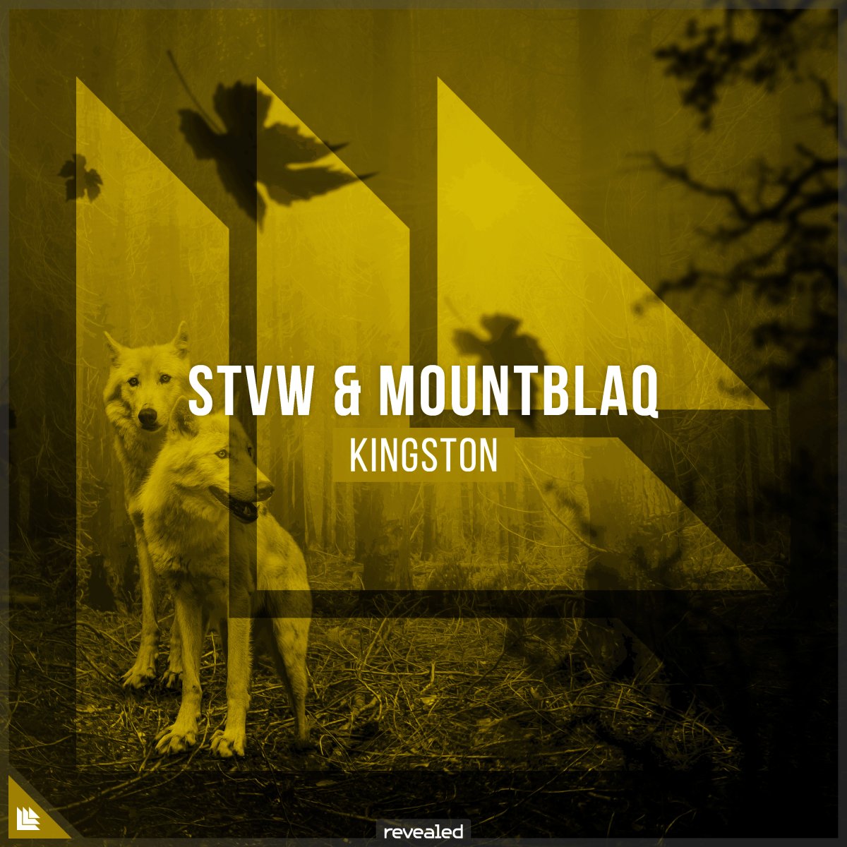 Kingston - STVW⁠ Mountblaq⁠