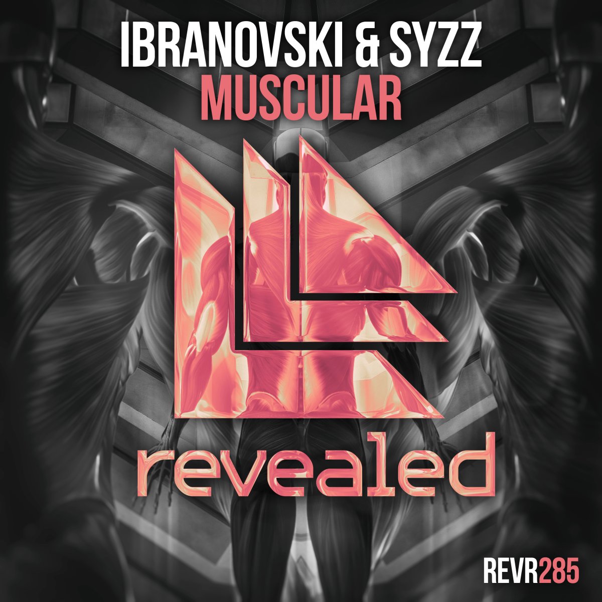 Muscular - Ibranovski⁠ Syzz⁠ 