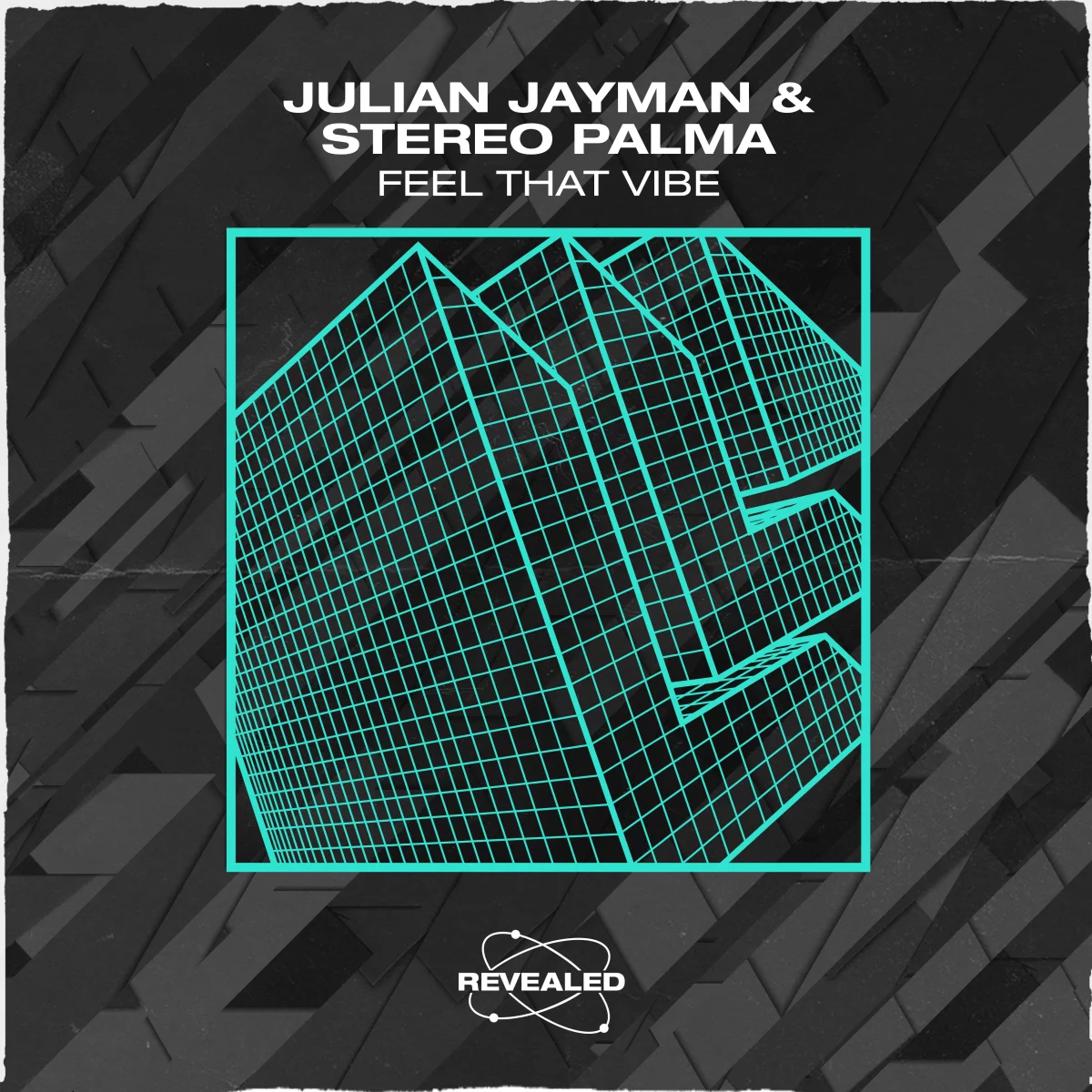 Feel That Vibe - Julian Jayman⁠ Stereo Palma⁠ 