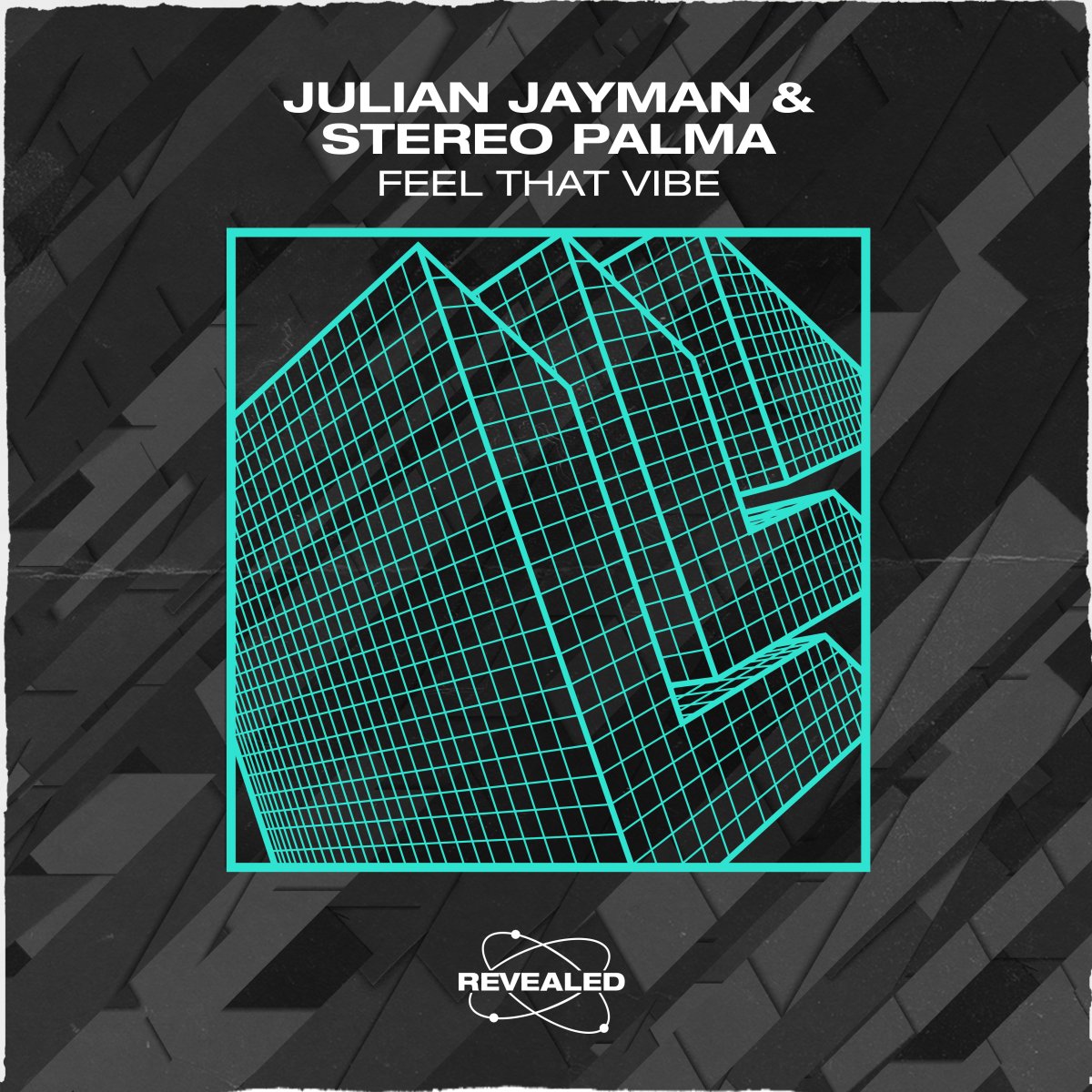 Feel That Vibe - Julian Jayman⁠ Stereo Palma⁠ 