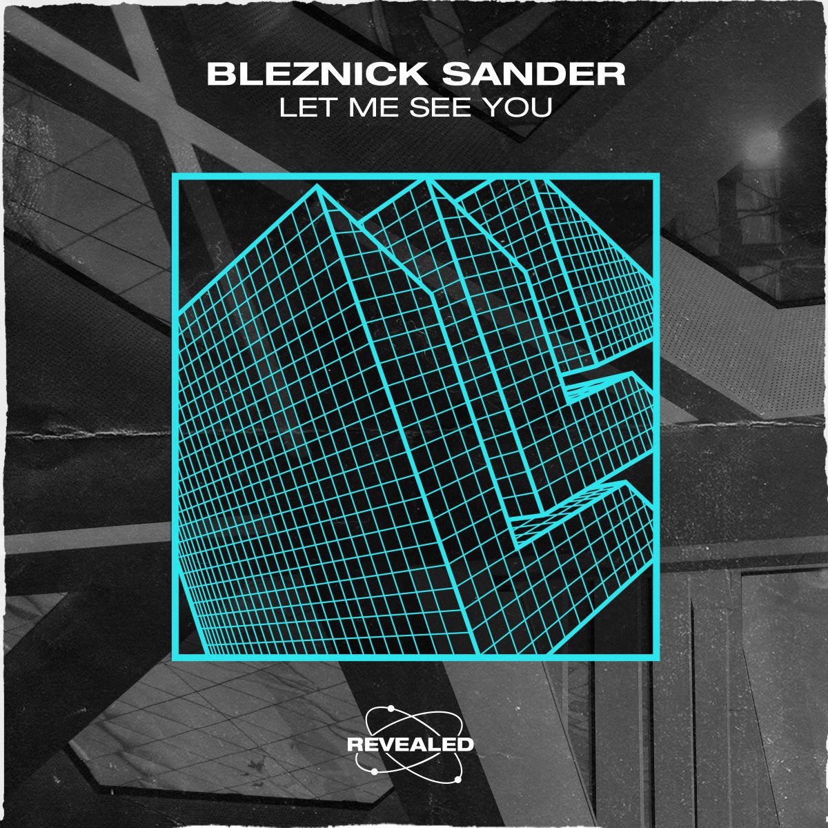 Let Me See You - Bleznick Sander⁠ 