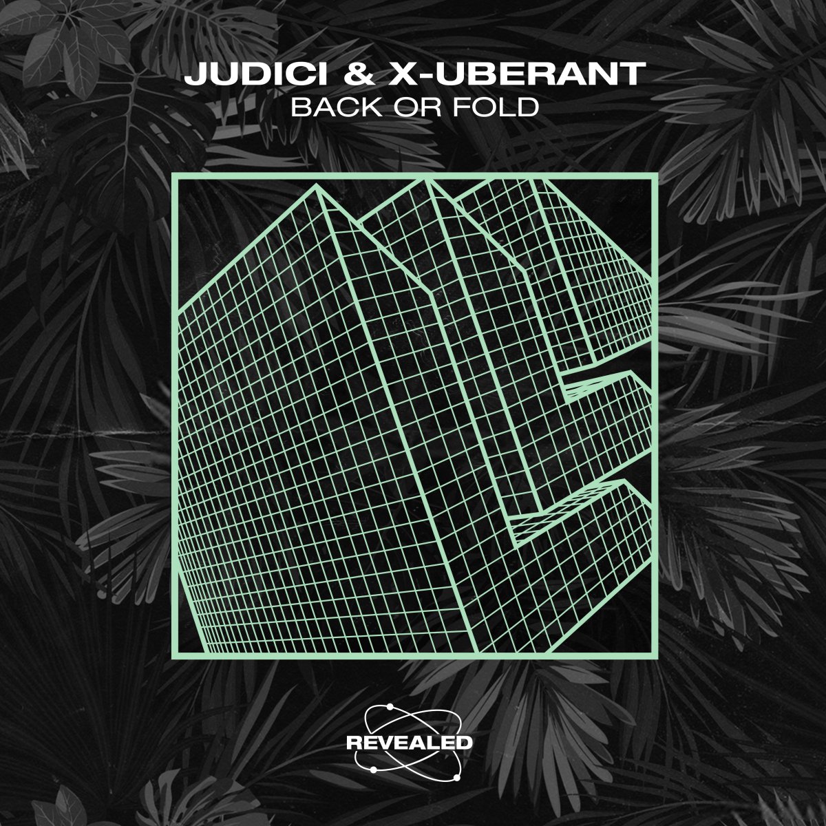 Back Or Fold - judicimusic & X-UBERANT⁠ 