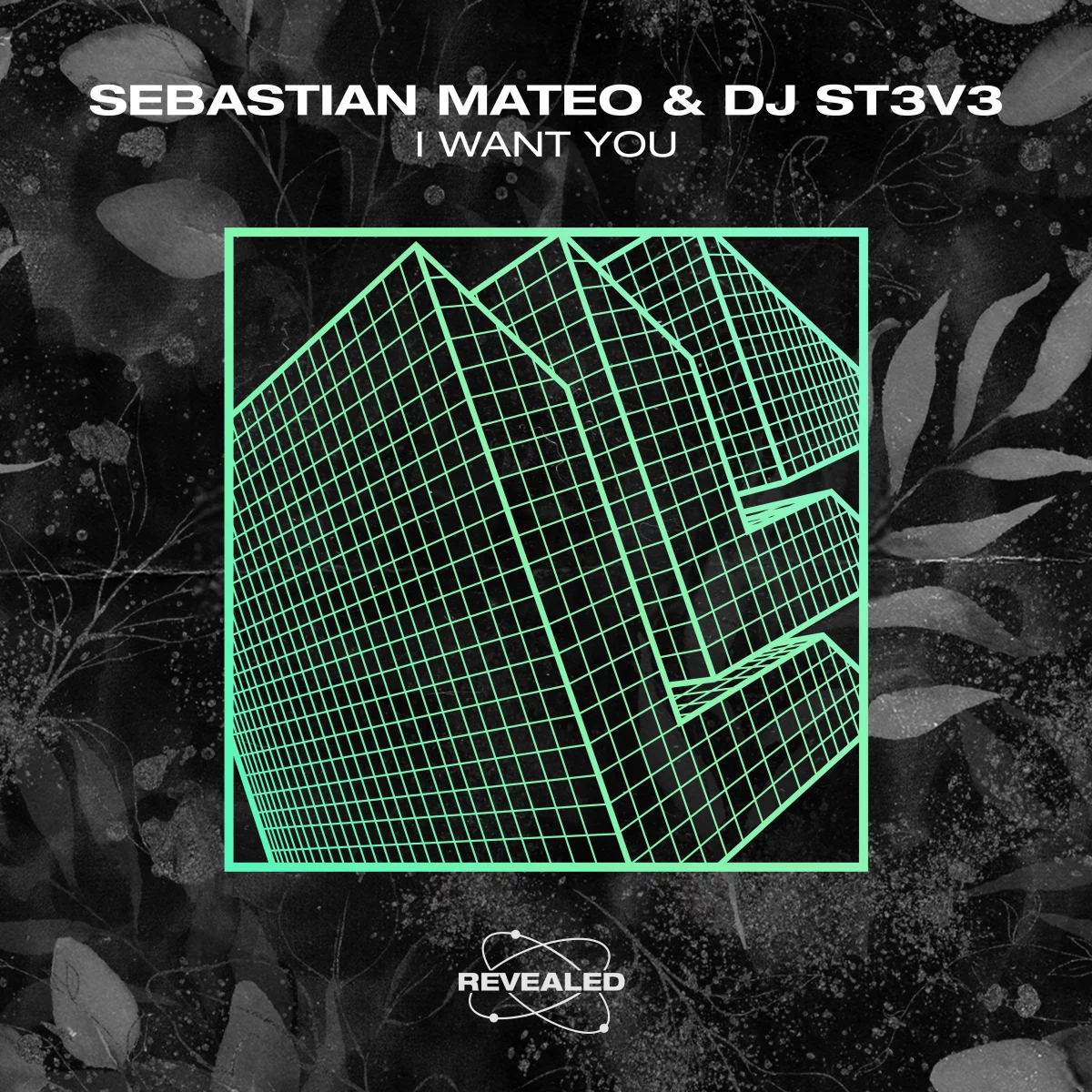I Want You - Sebastian Mateo⁠ & DJ ST3V3⁠