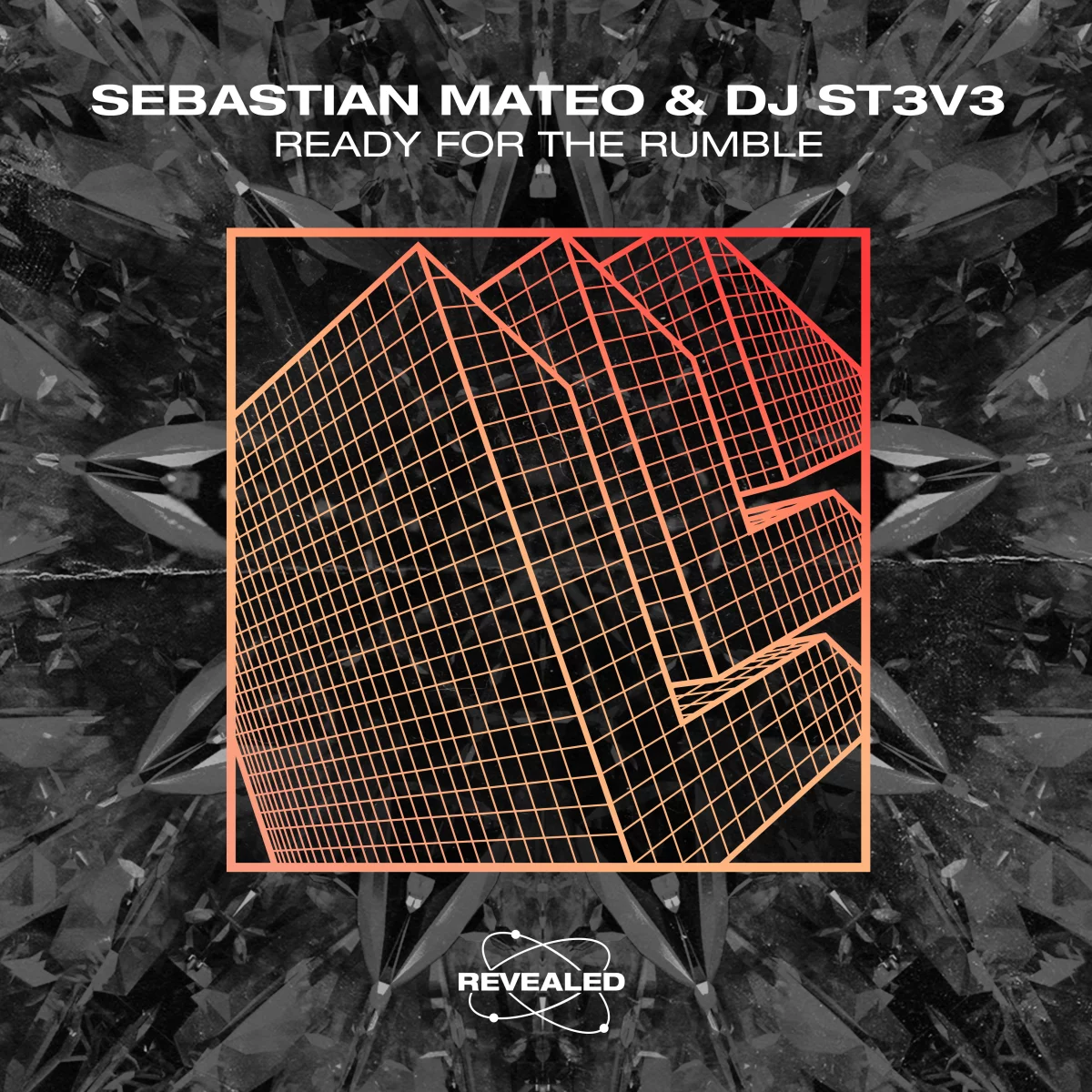 Ready For The Rumble - Sebastian Mateo⁠ & DJ ST3V3⁠ 