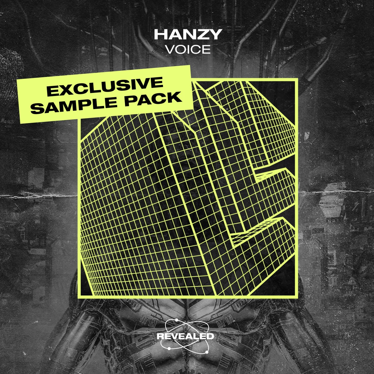 Voice [Exclusive Sample Pack] - Hanzy⁠