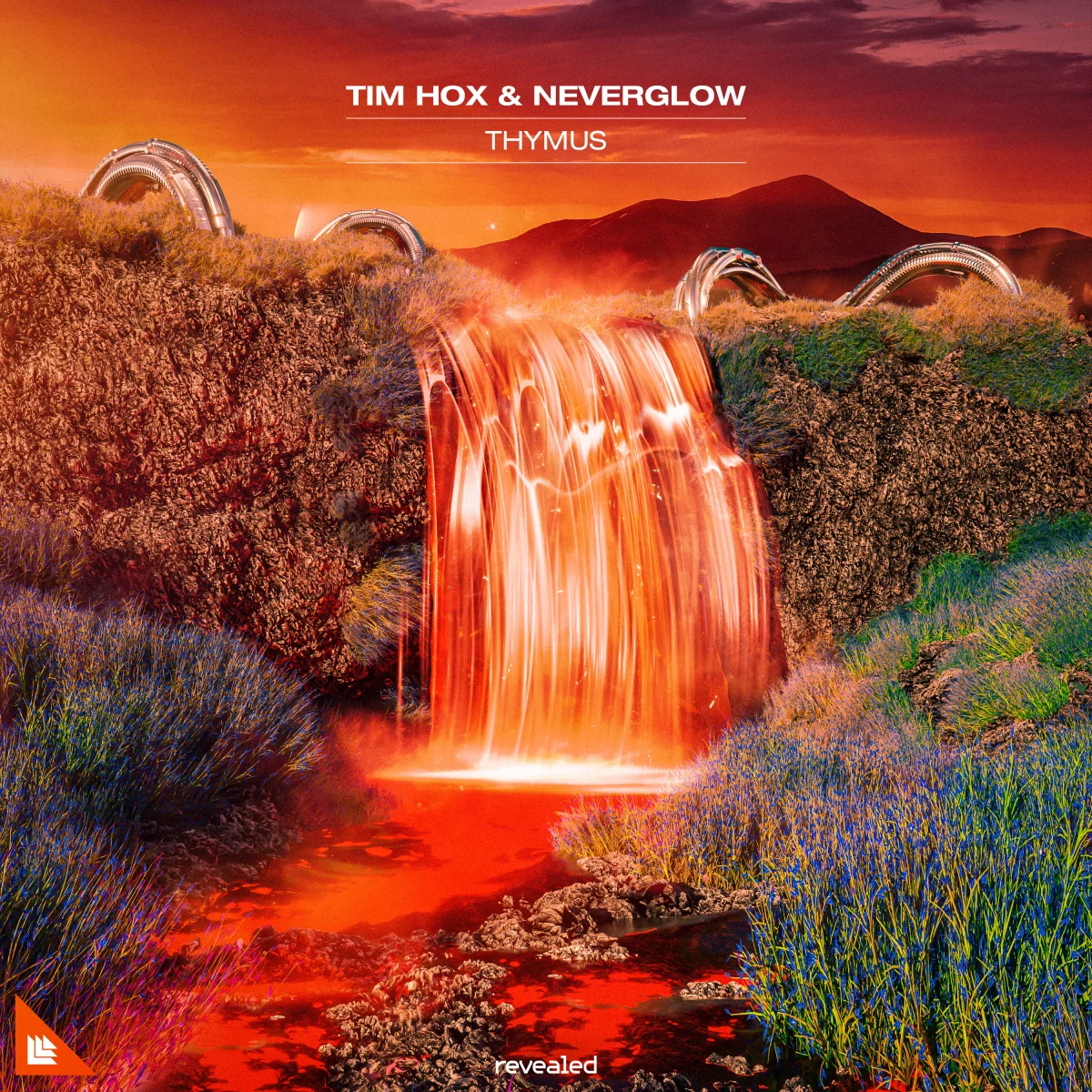 Thymus - Tim Hox⁠ & Neverglow⁠ 