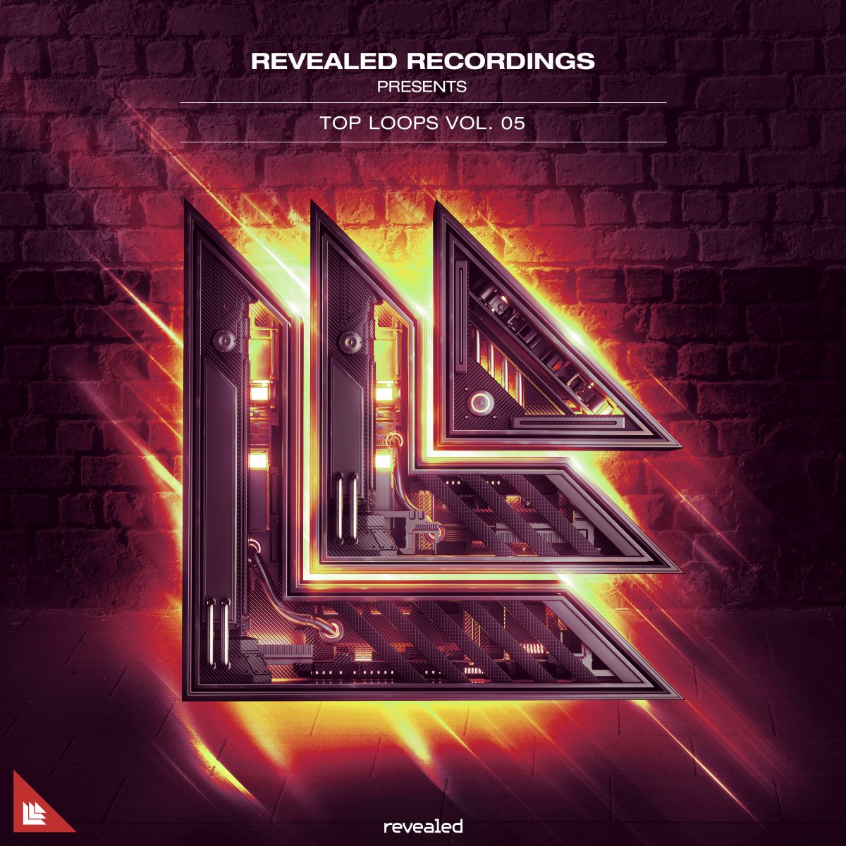 Revealed Top Loops Vol. 5 - revealedrec⁠