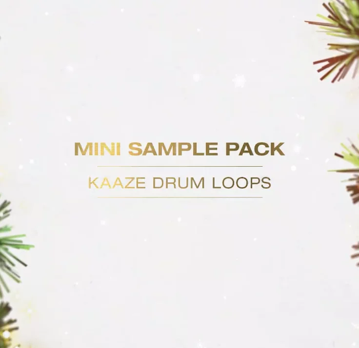 Mini Sample Pack - KAAZE Drum Loops - KAAZEMAS 2021⁠