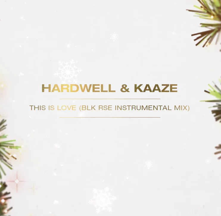This Is Love (BLK RSE Instrumental Remix) - KAAZEMAS 2021⁠