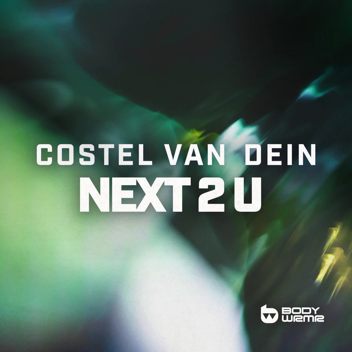 Next 2 U - Costel van Dein⁠ 