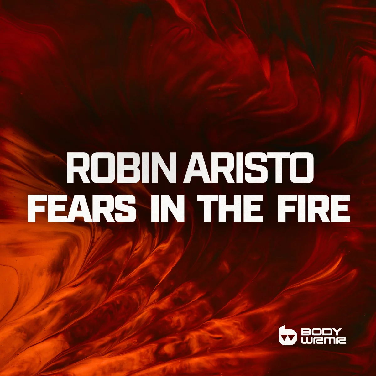 Fears In The Fire - Robin Aristo⁠ 