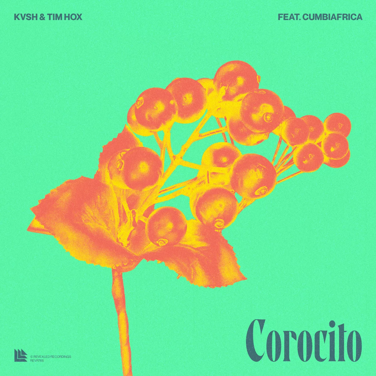 Corocito - KVSH⁠ & Tim Hox⁠ feat. Cumbiafrica⁠ 