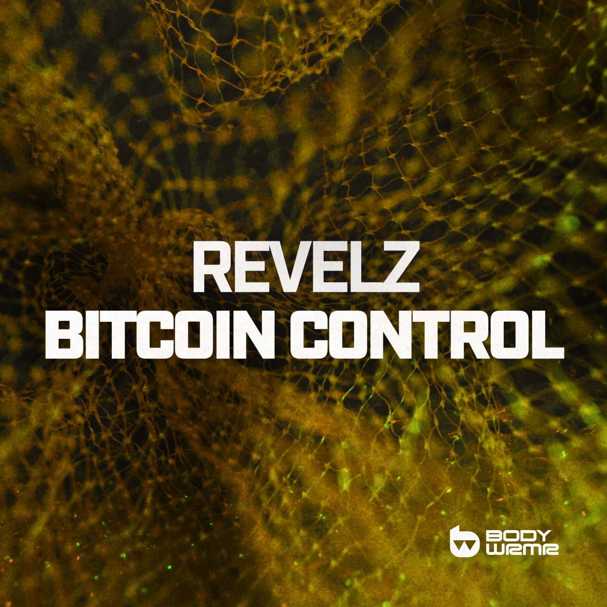 Bitcoin Control - Revelz⁠ 