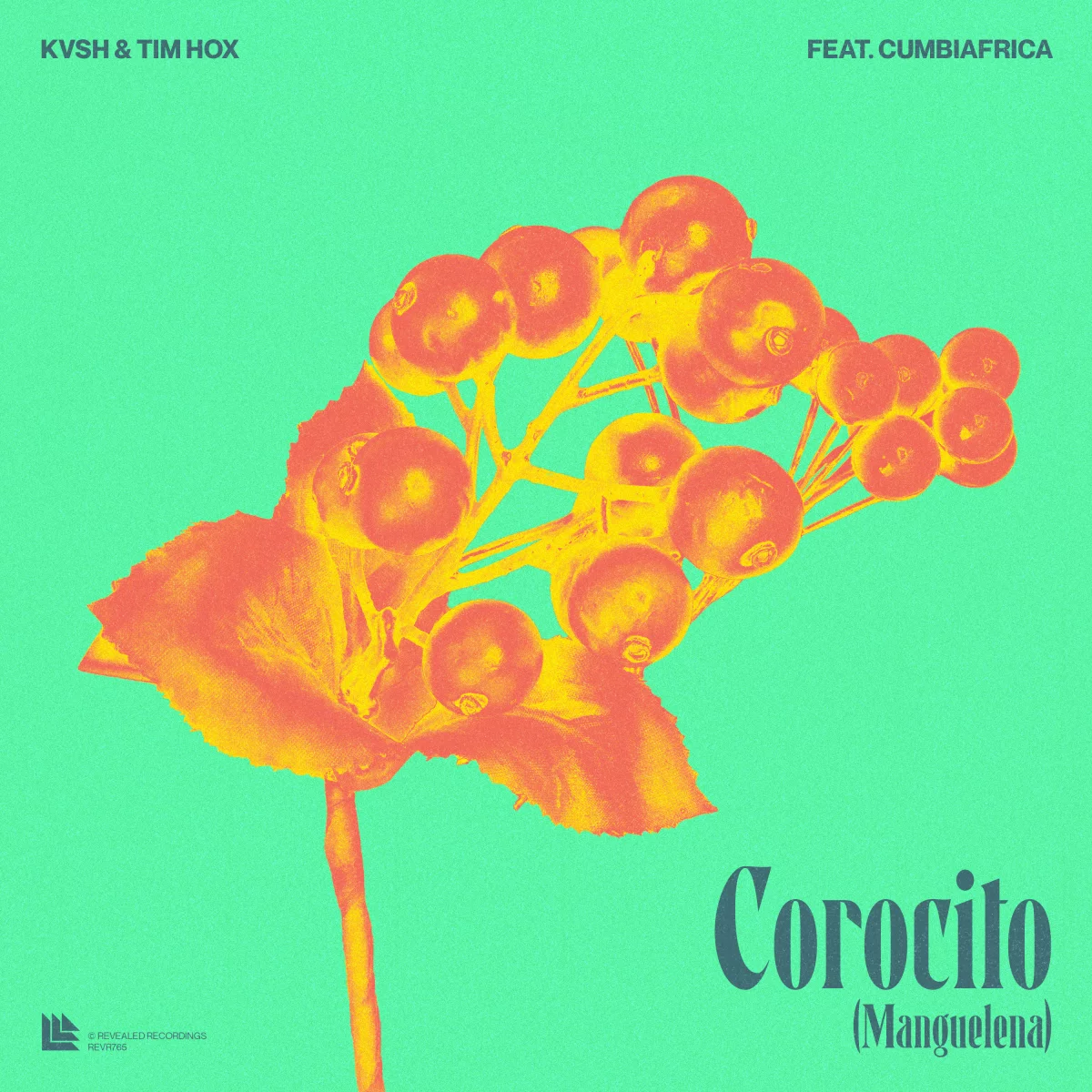Corocito (Manguelena) - KVSH⁠ & Tim Hox⁠ feat. Cumbiafrica⁠ 