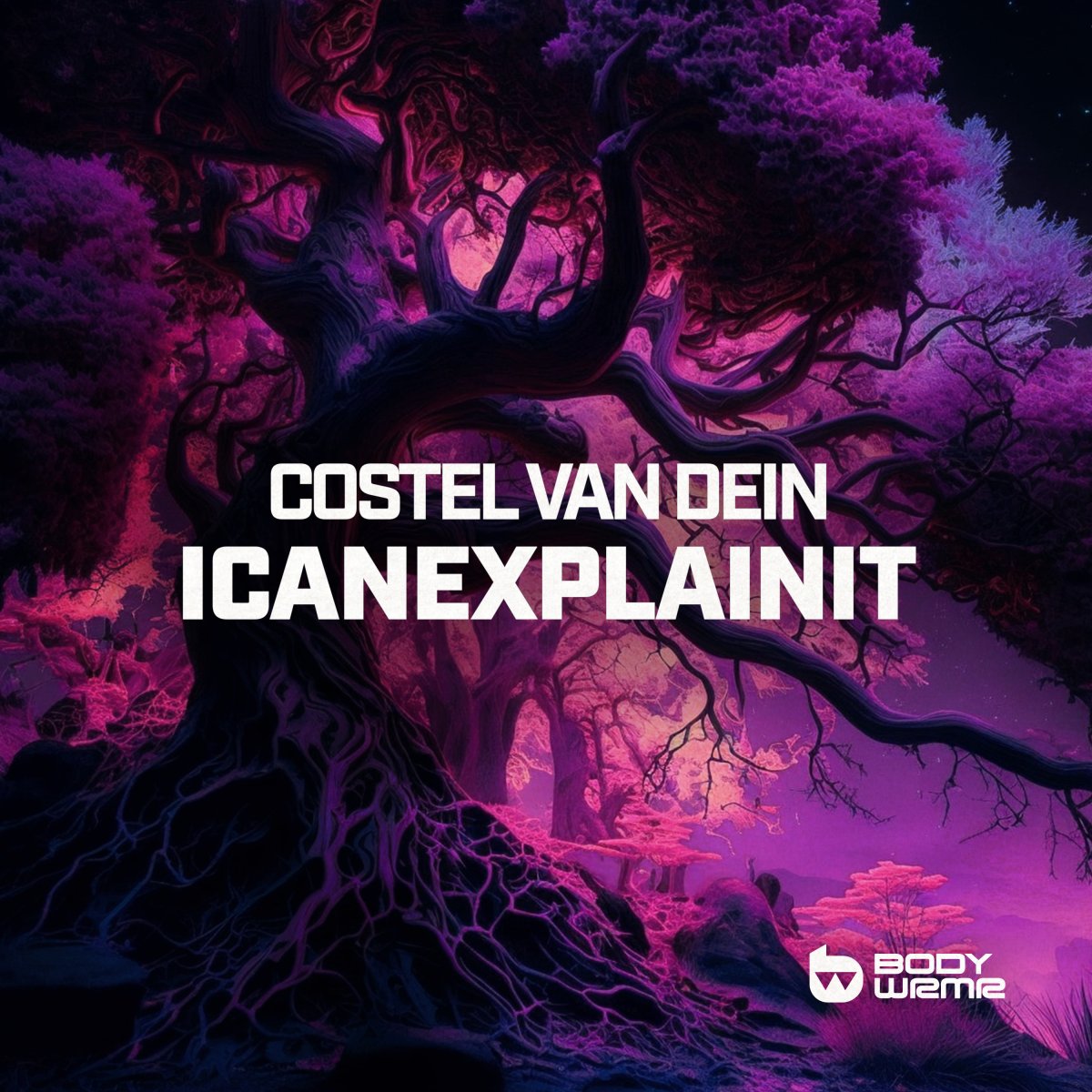 ICANEXPLAINIT - Costel van Dein⁠ 