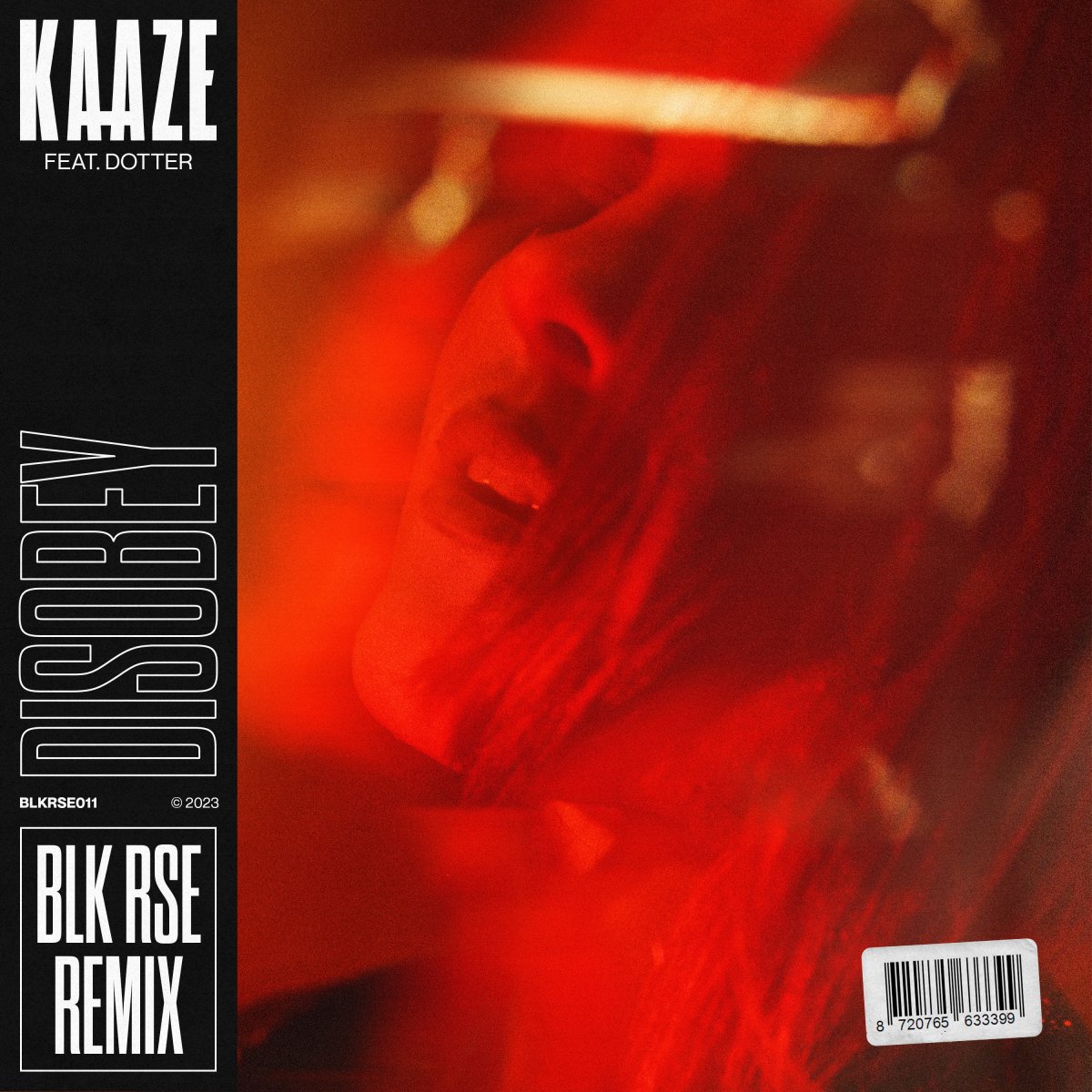 Disobey (BLK RSE Remix) - KAAZE⁠ feat. Dotter⁠