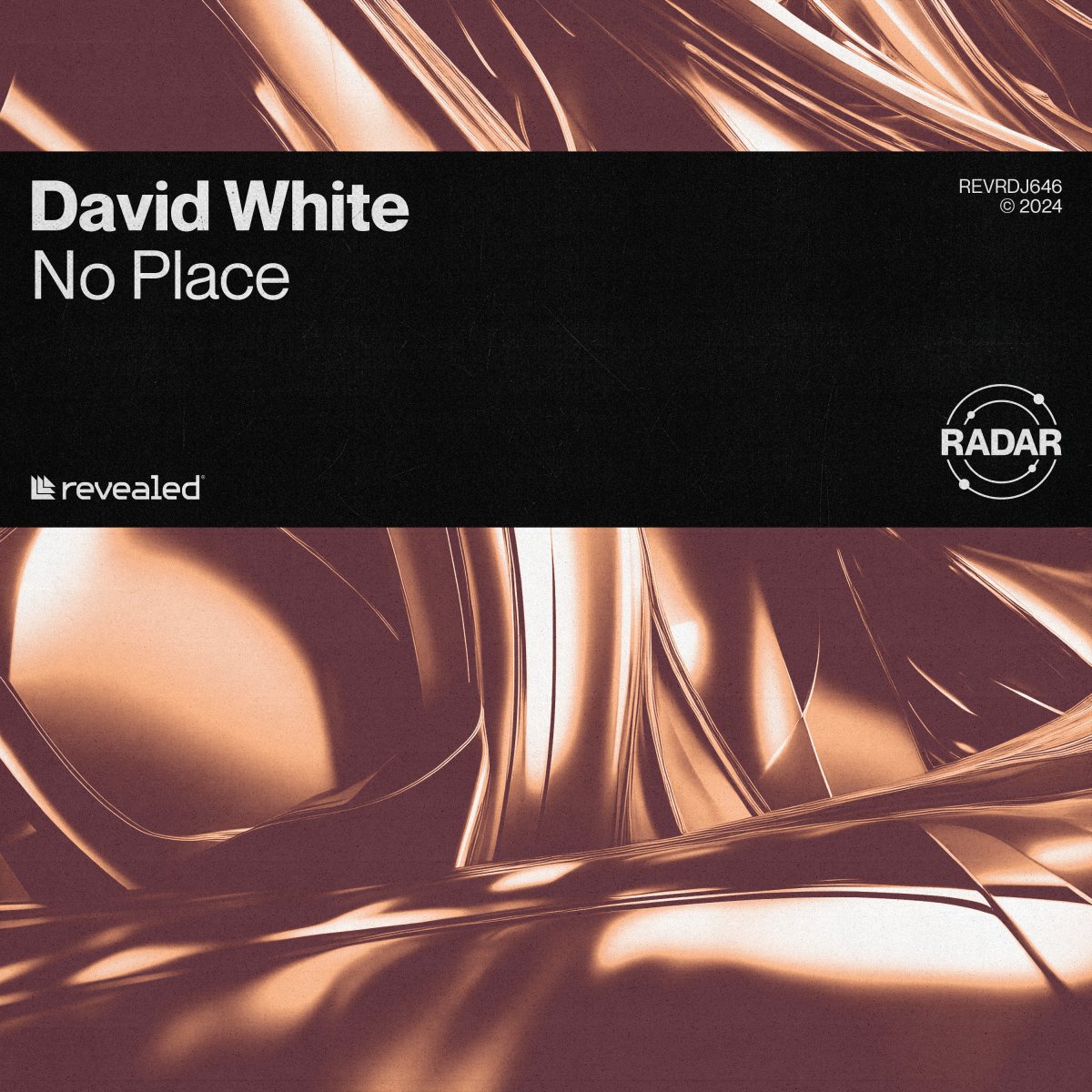 No Place - DAVID WHITE⁠ 