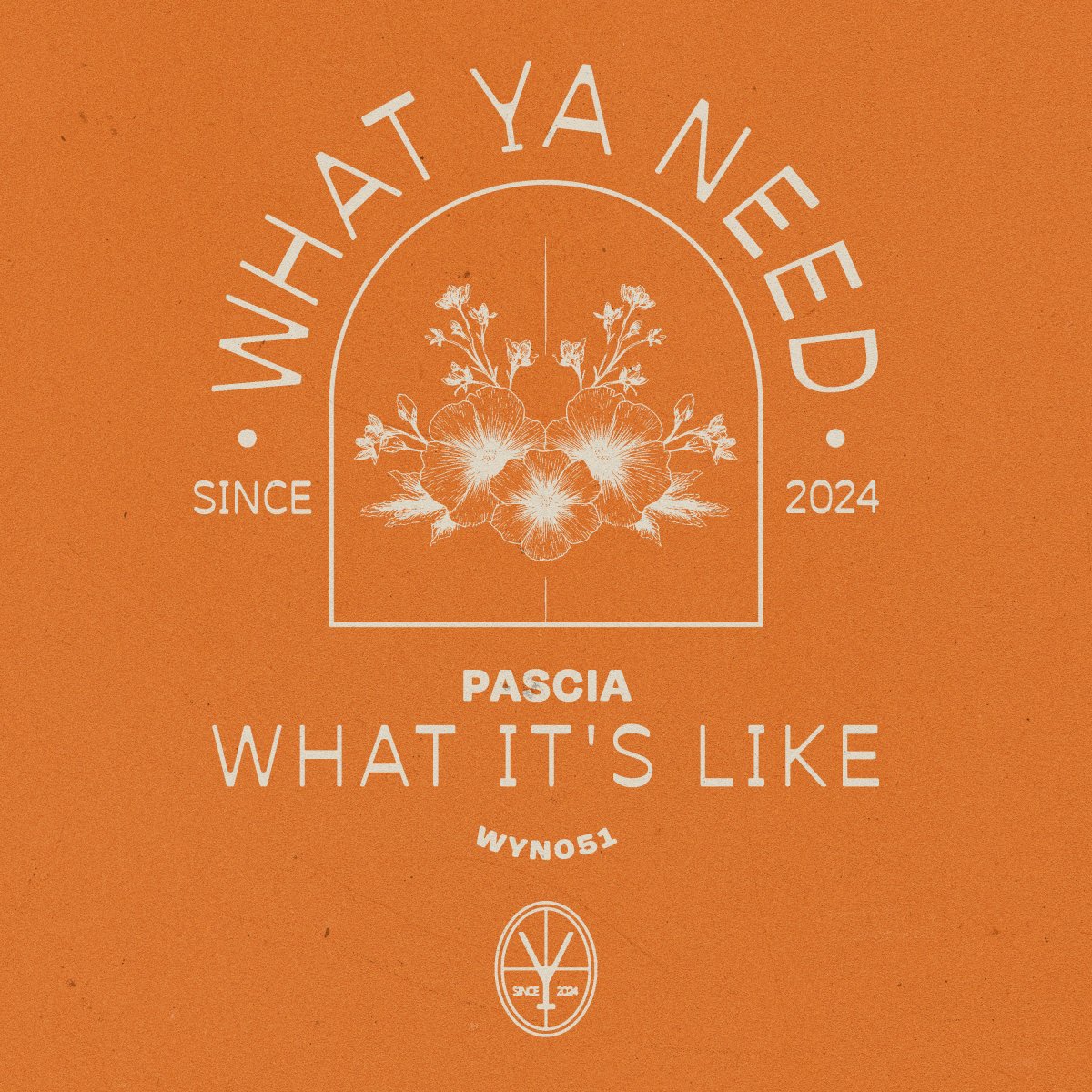 What It's Like - PASCIA⁠ 