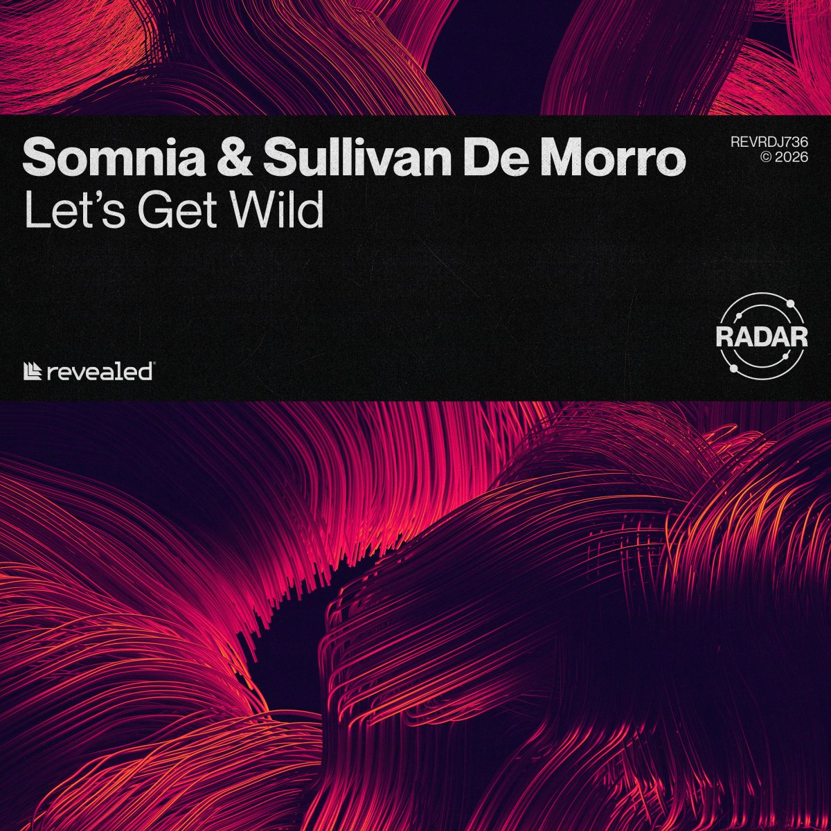Let's Get Wild - Somnia⁠ & Sullivan De Morro⁠ 