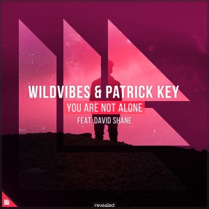 You Are Not Alone  - Wildvibes⁠ & Patrick Key⁠ ⁠feat. David Shane⁠ 