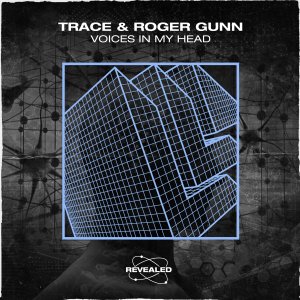 Voices in My Head -  Trace Roger Gunn