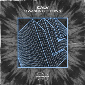 U Wanna Get Down - CALV