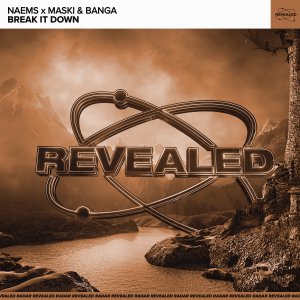 Break It Down - NAEMS x Maski & Banga