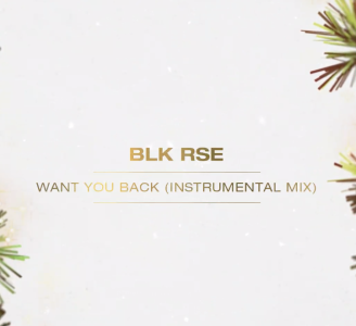Want You Back (Instrumental Mix) - BLK RSE 