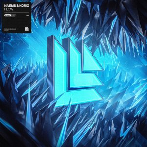Flow - NAEMS & Koriz