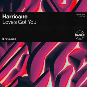 Love's Got You - Harricane